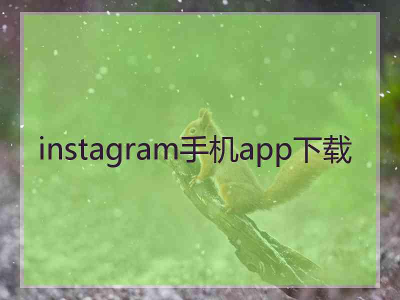 instagram手机app下载