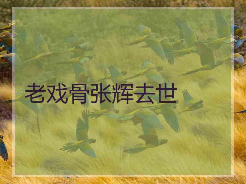 老戏骨张辉去世