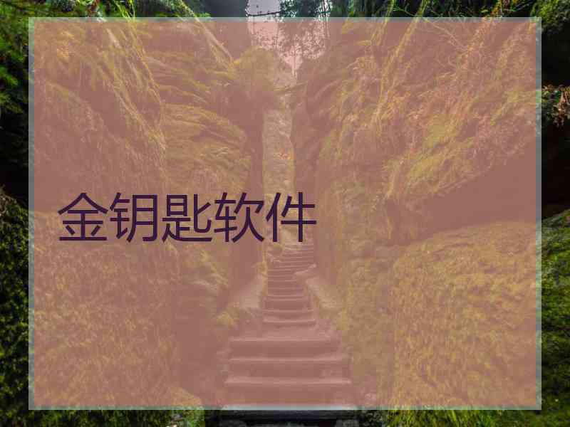 金钥匙软件