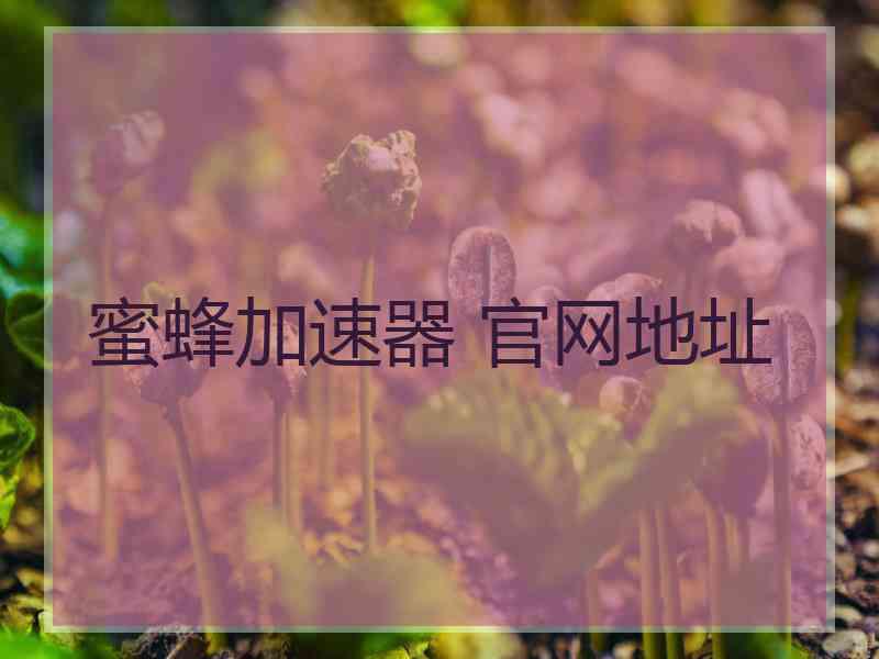 蜜蜂加速器 官网地址
