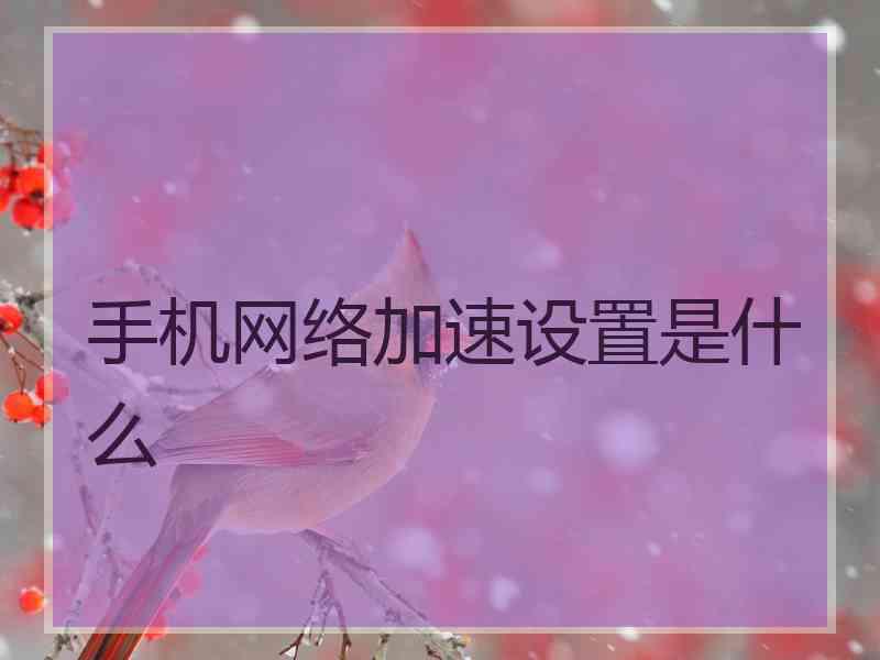 手机网络加速设置是什么