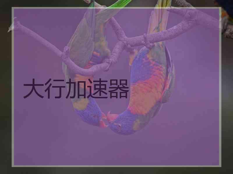 大行加速器