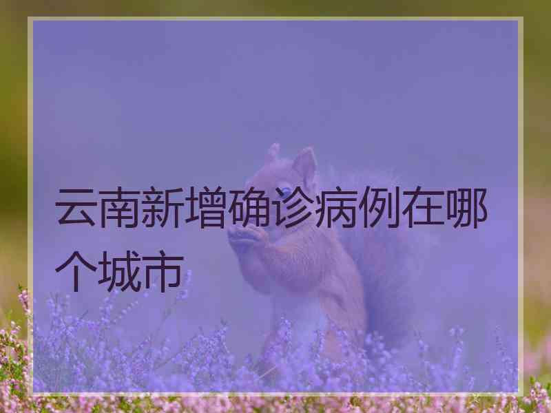 云南新增确诊病例在哪个城市