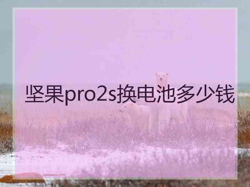 坚果pro2s换电池多少钱