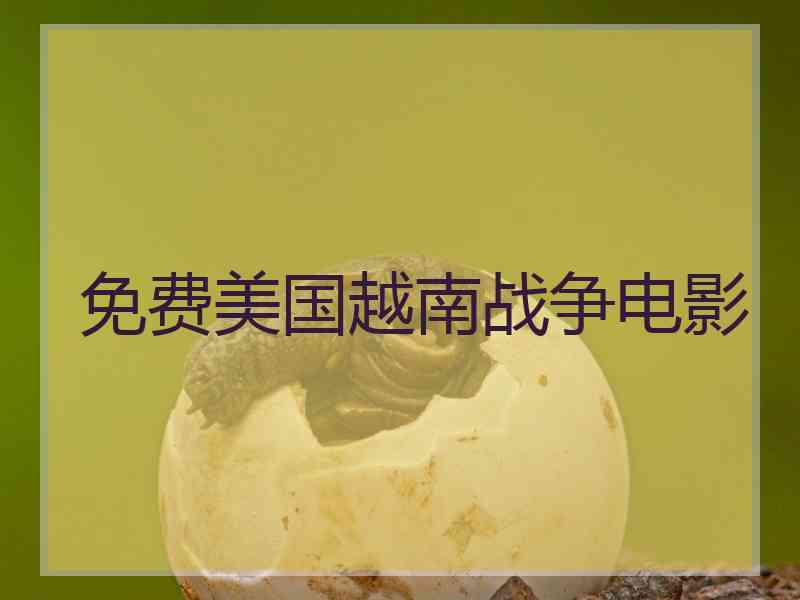 免费美国越南战争电影