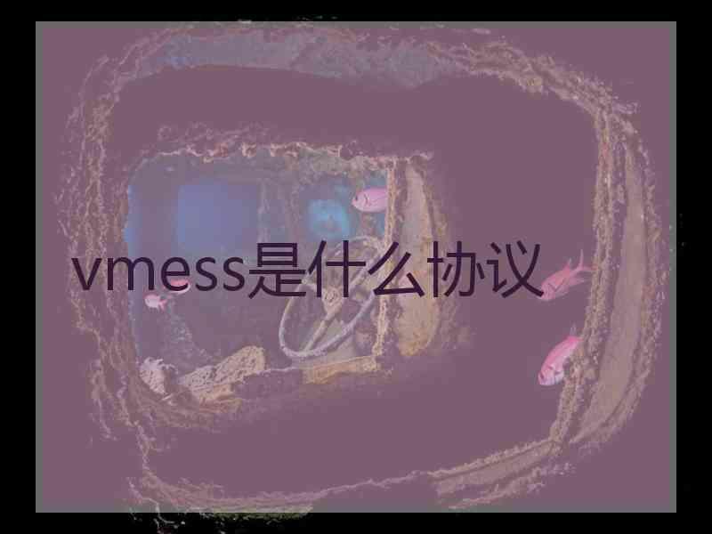 vmess是什么协议