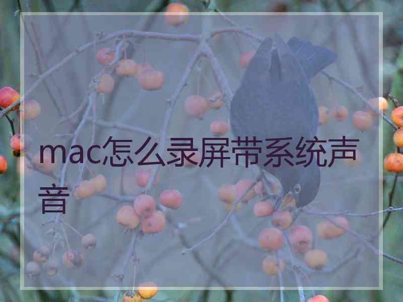 mac怎么录屏带系统声音